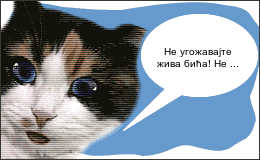 Create your own Animation